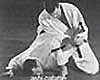 ashi-gatame