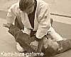 kami hiza gatame judo