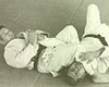 ude hishigi juji gatame judo