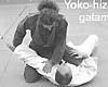 yoko hiza gatame judo