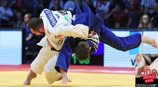 Judo 2017 Dusseldorf Grand Prix